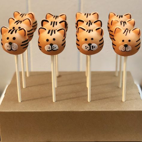 Cake Pops Animals, Tiger Cake Pops, Tiger Dessert, Rainforest Party, Panthers Cake, Money Bouquets, Paw Cake, Animal Cake Pops, Cake Pop Recipe Easy