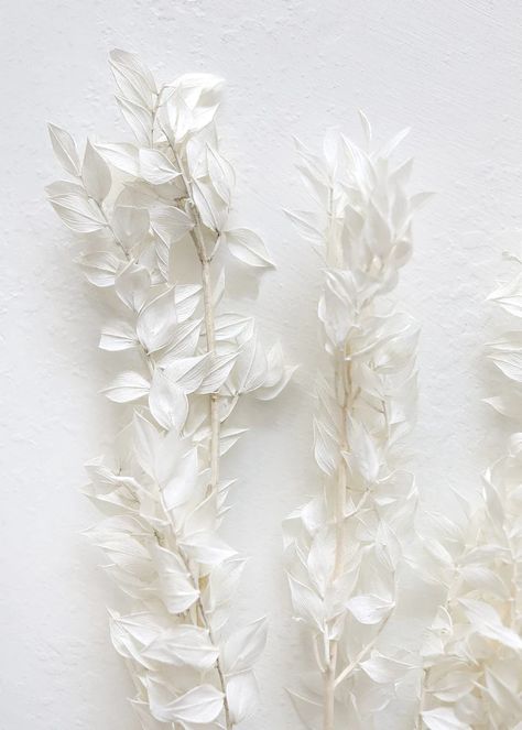 Clearance | Artificial Plants and Flowers – Afloral.com Bleached Ruscus, Dry Floral Foam, Flat Inspiration, Fake Hydrangeas, Artificial Wedding Bouquets, Pink Sunflowers, Silk Wedding Bouquets, Artificial Bouquet, Baby Dedication