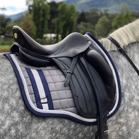 English Horse Tack, Riding Outfits, Horse Brand, Tack Shop, Side Saddle, English Horse, Horse Dressage, Horse Equipment, Dressage Saddle