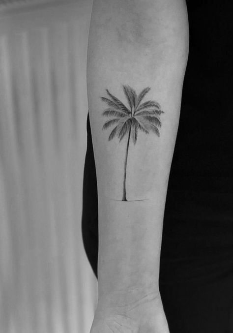 Palm Tree Tattoo Ribs Women, Palm Tree And Ocean Tattoo, Detailed Palm Tree Tattoo, Realism Palm Tree Tattoo, Delicate Palm Tree Tattoo, Arm Palm Tree Tattoo, Palm Tattoo Men, Fine Line Palm Tree Tattoo, Simple Palm Tree Tattoo