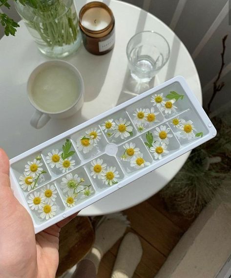 Floral Ice Cubes, Floral Ice, Green Aesthetic, High Tea, Pretty Food, Cute Food, Ice Cube, Aesthetic Food, Food And Drink