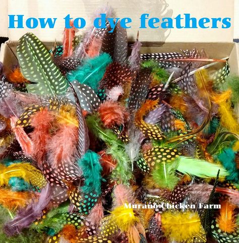 how to dye feathers Art Using Feathers, What To Do With Chicken Feathers, Chicken Feathers Crafts, Bird Feathers Craft, Homestead Products, Chickens Homestead, Feather Drawings, Chickens For Eggs, Feather Ideas