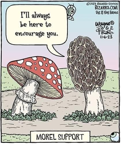 Mushroom Puns Funny, June Moodboard, Mushroom Puns, Memes Lol, Painted Jacket, Happy Words, Funny Puns, Awesome Art, Funny Art