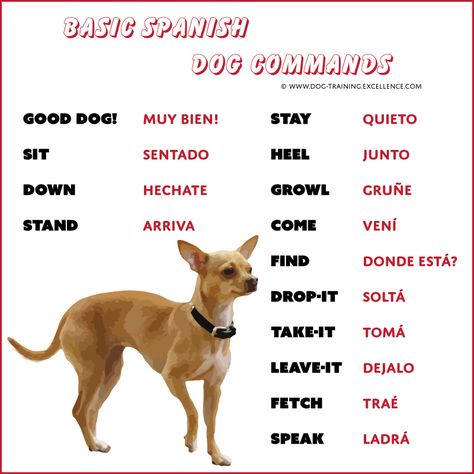 Spanish Commands, Dog Clicker Training, Dog Commands, Training Dogs, Easiest Dogs To Train, Spanish Speaking, Spanish Learning, Dog Training Techniques, How To Say