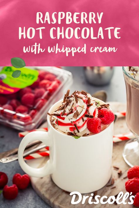 Raspberry Hot Chocolate, Driscolls Berries, Raspberry Drink, Hot Chocolate Recipe Homemade, Kid Friendly Drinks, Cocoa Drink, Holiday Berries, Berry Recipes, Chocolate Garnishes