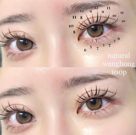 Korean Eyelash, Girly Makeup, Eyelash Extensions Styles, Beginners Eye Makeup, Perfect Eyelashes, Natural Eyelash Extensions, Eyelash Extentions, Eye Makeup Designs, Make Up Inspo