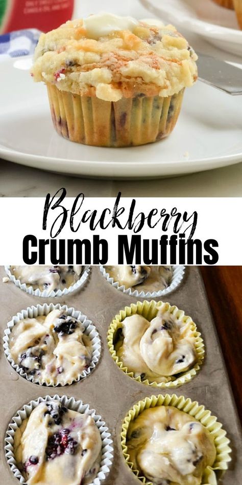 Top photo is a Blackberry Crumb Muffin on a white plate with a butter knife resting against the edge of the plate. Bottom photo is on Blackberry Muffin batter in muffin liners in a muffin tin. A white banner is between the two photos with black letters Blackberry and below that Crumb Muffins. Recipe With Blackberries, Baking With Blackberries, Blackberry Muffins, Blackberry Muffins Easy, Blackberry Muffins Streusel Topping, Fresh Blackberry Muffins, Blackberry Cobbler Cupcake, Mixed Berry Muffins With Crumb Topping, Blackberry Recipes Easy