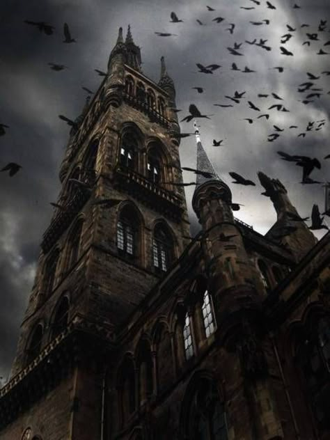 Raven Spires, Glasgow (Scotland) Haunted Images, Common Loon, رعب نفسي, 다크 판타지, Bloodborne, Glasgow Scotland, Haunted Places, Gothic Architecture, Dark Beauty