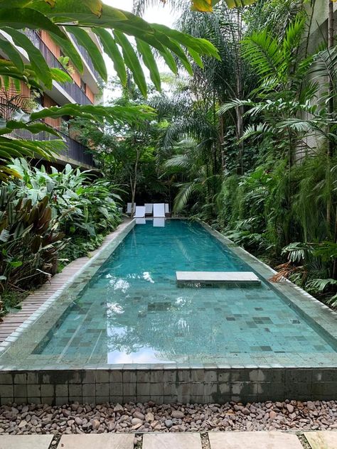 28 Pool Landscaping Ideas for a Serene Backyard Oasis | Enhance Your Space - placeideal.com Serene Backyard, Garden Pool Design, Tropical Pool Landscaping, Pool Landscaping Ideas, Kleiner Pool Design, Indoor Pool Design, Swimming Pool Landscaping, Small Pool Design, Rectangular Pool