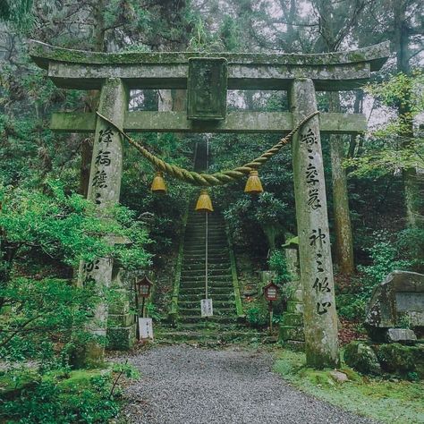 Shintoism Aesthetic, Abandoned Japanese Temple, Japanese Shrine Aesthetic, Ancient Japan Aesthetic, Old Japanese Aesthetic, Traditional Japanese Shrine, Samurai Temple, Japanese Garden Aesthetic, Shrine Japanese