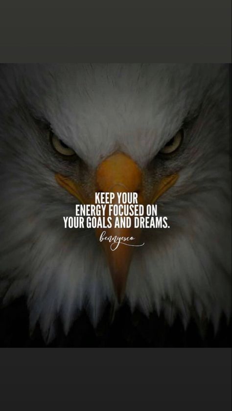 Focus Inspirational Quotes, Eagle Motivational Quotes, Focus On The Goal Quotes, Goal Focused Quotes, Just Focus On Yourself Quotes, Lion Quotes Inspirational, Focus On Goals Quotes, Stay Focused Quotes Motivation, Self Respect Quotes Women