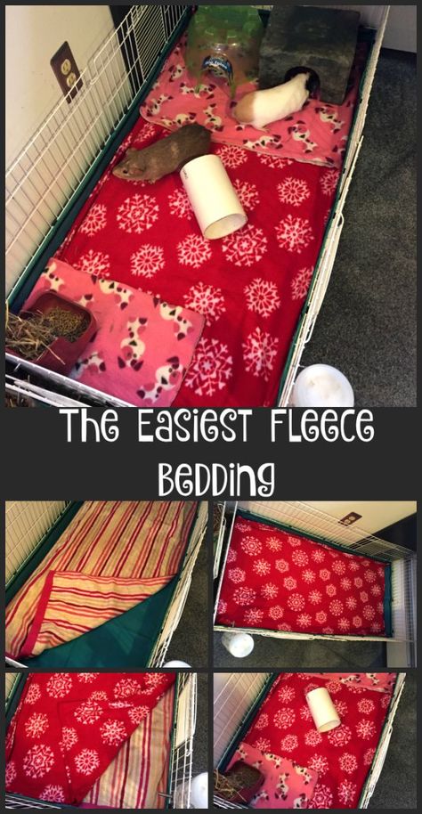 This is the easiest way to do fleece bedding for guinea pigs, rabbits, and other small animals. Over the years I’ve done all kinds of different things for bedding in my habitats. Yes, I call … Guinea Pig Cage Ideas Indoor, Indoor Guinea Pig Cage Ideas, Indoor Guinea Pig Cage, Pig Habitat, Guinea Pig Cage Ideas, Diy Guinea Pig Cage, Guinea Pig Ideas, Guinea Pig Diy, Fleece Bedding