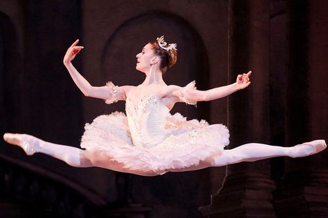 Marianela Nuñez in The Royal Ballet's production of Marius Petipa's The Sleeping Beauty | Photo © Johan Persson/ROH Marianela Nunez, Sleeping Beauty Ballet, Dramatic Photos, The Sleeping Beauty, Ballet Beauty, Ballet Inspiration, The Ballerina, Ballet Photos, Shall We Dance