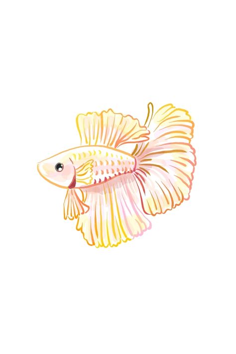 PENUP Betta Fish Drawing, Beta Fish Drawing, Angle Fish, Fish Sketch, Colourful Fish, Cute Small Drawings, Live Drawing, Drawn Fish, Fish Drawing