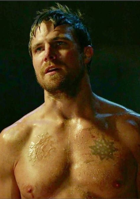 Arrow Stephen Amell Shirtless, Steven Amell, Stephan Amell, Arrow Series, Shemar Moore Shirtless, Oliver Queen Arrow, Arrow Felicity, Stephen Amell Arrow, Arrow (tv Show)