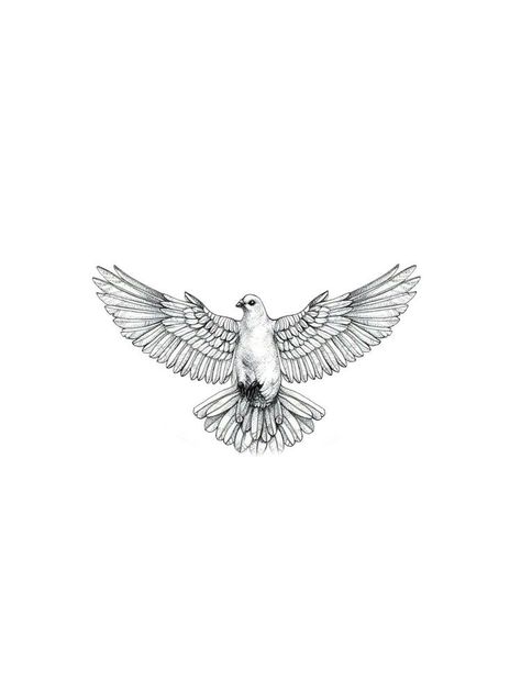 Dove Tattoo On Neck Men, Men’s Biblical Tattoos, Dove Tattoo For Men, Small Dove Tattoo Men, Small Eagle Tattoo Men, Gangsta Tattoos Men Design, Dove Tattoo Design For Men, Dove Tattoo Men, Biblical Tattoos For Men