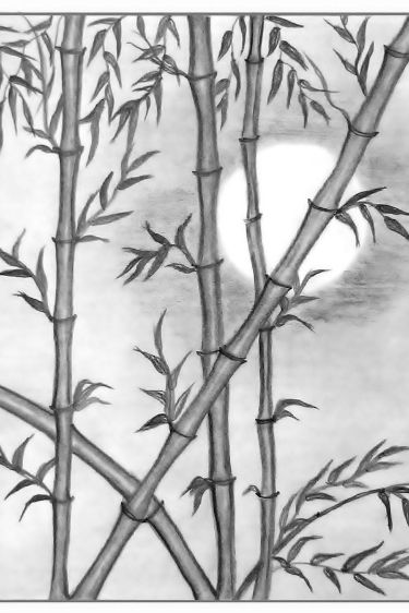 Welcome to my YouTube channel, where art and creativity come alive! In this mesmerizing video, join me on an enchanting journey as we delve into the world of art to create a captivating Bamboo Forest Moonlit Night Scenery. Follow along with the easy step-by-step instructions, and together, let's bring this tranquil landscape to life. Night Scenery Drawing, Scenery Drawing Pencil, Step Landscape, Bamboo Drawing, Drawing & Painting Kit, Easy Scenery Drawing, Forest Drawing, Scenery Drawing, Pencil Drawings For Beginners