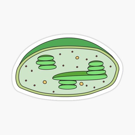 Organelles Drawing, Chloroplast Drawing, Cute Biology Stickers, Biology Stickers, Graduation Drawing, Diy Photo Book, Science Stickers, Biology Art, Green Sticker