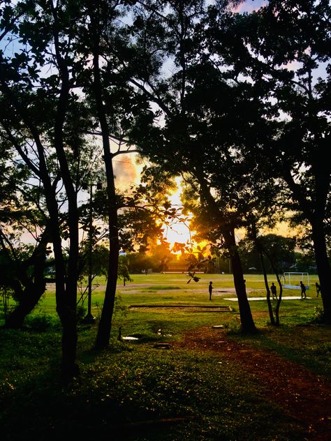 Sunset Moratuwa University, Sri Lanka, University, Quick Saves