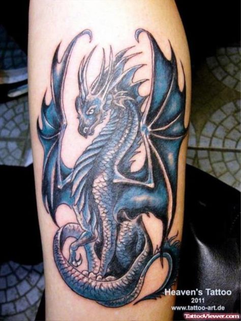 24 Western Dragon Tattoo                                                                                                                                                                                 More Western Dragon Tattoo, 3d Dragon Tattoo, Chinese Tattoo Designs, Dragon Tattoo Forearm, Tato Naruto, Blue Dragon Tattoo, Western Dragon, Dragon Tattoo Ideas, Dragons Tattoo