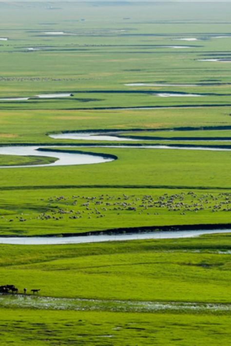 Located in Inner Mongolia autonomous region, Hulunbuir is home to the Hulunbuir Grassland – one of the four largest grasslands in the world – as well as the captivating Greater Hinggan Mountains. Let’s admire its beautiful views! Cultural Tourism, Holiday China, Explore China, China Culture, Visit China, Tourism Development, Inner Mongolia, China Travel, Travel And Tourism