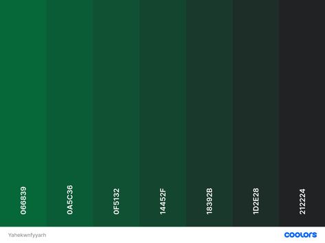 Dark Green Shades Colour Palettes, Vert Sapin Aesthetic, Emerald Green Swatch Color Pallets, Emerald Green Pantone Colour Palettes, Dark Shades Of Green, Racing Green Colour Palette, Dark Green Color Pallette, Dark Green Pallet, Dark Green Pallete