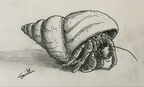 Hermit Crab Cartoon, How To Draw A Hermit Crab, Crab Pencil Drawing, Hermit Crab Doodle, Crab Sketch Drawings, Hermit Crab Sketch, Hermit Crab Drawing Simple, Hermit Crab Painting, Sea Crab Drawing