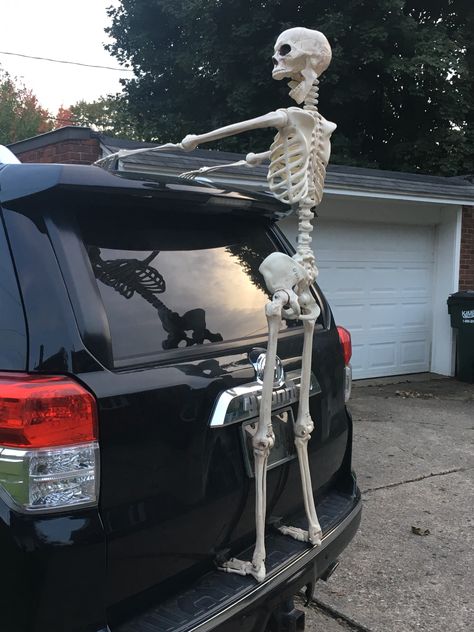 Skeleton Pics, Halloween Outside, Dollar Store Halloween, Creepy Halloween Decorations, Halloween Crafts Decorations, Fun Halloween Decor, Halloween Yard Decorations, Funny Skeleton, Snapchat Funny