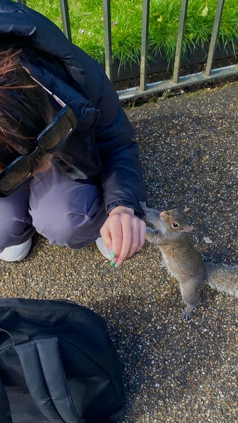 Hyde park’s squirrel, London Hyde Park London Aesthetic, 2024 Diary, London Girl, Hyde Park London, London Trip, Regents Park, London Aesthetic, London Park, 2023 Vision