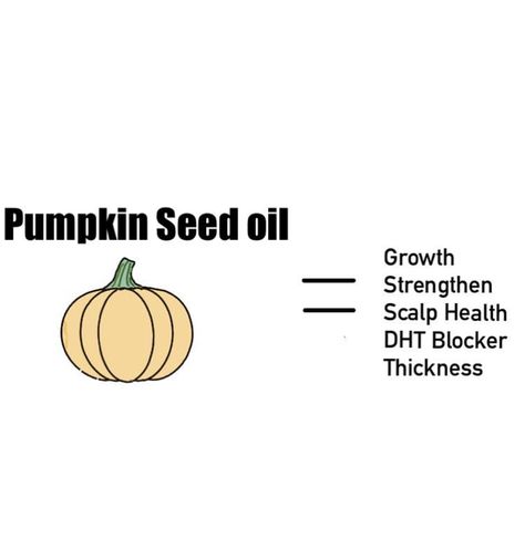 🎃 Pumpkin seed oil has several benefits for hair. It helps prevent hair loss and promote hair growth. It is considered a DHT blocker and may effectively treat hair loss associated with excess DHT. Pumpkin seed oil can also fight scalp inflammation, treat dry hair, and strengthen the hair shaft. #pumpkinseedoil #hairsolution. #pumpkinseedoil #hairgrowthoil #hairgrowthtips #hair Pumpkin Seed Oil Benefits, Dht Blockers, Long Hair Tips, Promote Hair Growth, Pumpkin Seed Oil, Pumpkin Seed, Hair Solutions, Hair Growth Tips, Promotes Hair Growth