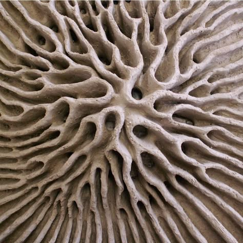 Ceramic Clouds, Textile Experiments, Interesting Structures, Clay Forms, Natural Form Art, Geometry In Nature, Abstract Ideas, Natural Inspiration, Organic Structure