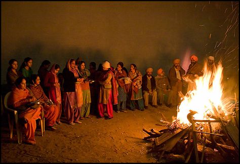 Happy Lohri! Did you Feed Food to the Fire? Lohri Pictures, Punjab Festivals, Happy Lohri Images, Happy Lohri Wishes, Punjab Culture, Lohri Wishes, Happy Lohri, Kids Blouse Designs, Festivals Of India