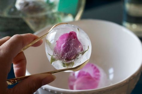 It’s a Tea Par-DIY! Make Refreshing Flower Sun Tea with Flower Ice Cubes | Brit + Co. Floral Ice Spheres, Tea Ice Cubes, Flower Sphere, Ice Cube Recipe, Ice Sphere, Floral Ice Cubes, Fruit Ice Cubes, Flower Ice Cubes, Flavored Ice Cubes