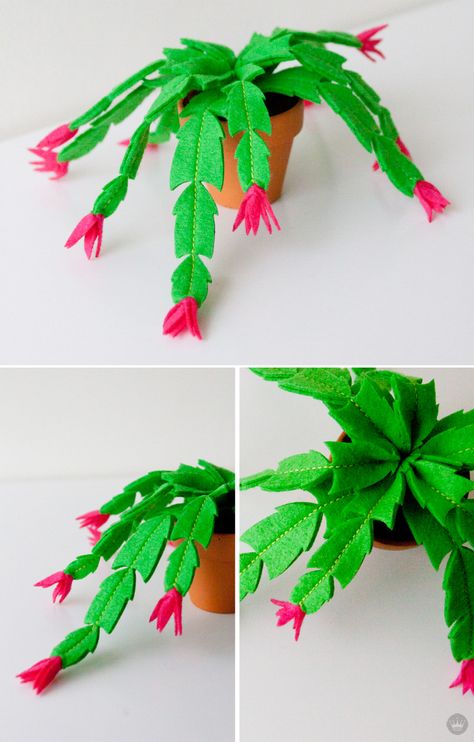 Christmas cactus | felt holiday crafts by Hallmark artists | thinkmakeshareblog.com Easy Felt Crafts, Cactus Craft, Felt Craft Projects, Faux Cactus, Felt Succulents, Baby Mobil, Felt Crafts Patterns, Cactus Diy, Felt Gifts