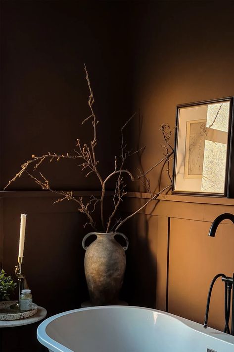 Dark Brown Bathroom, London Bathroom, Edward Bulmer, Brown Paint Colors, Brown Bathroom Ideas, Natural Paint, London Brown, Dark Bathrooms, Brown Rooms