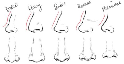 How To Draw Different Nose Shapes, Drawing Different Nose Shapes, Nose Shapes Front View, Hooked Nose Drawing Front View, Nose Shape Drawing, Hooked Nose Front View Drawing, Crooked Nose Front View, Pointy Nose Drawing, Nose Shapes Chart