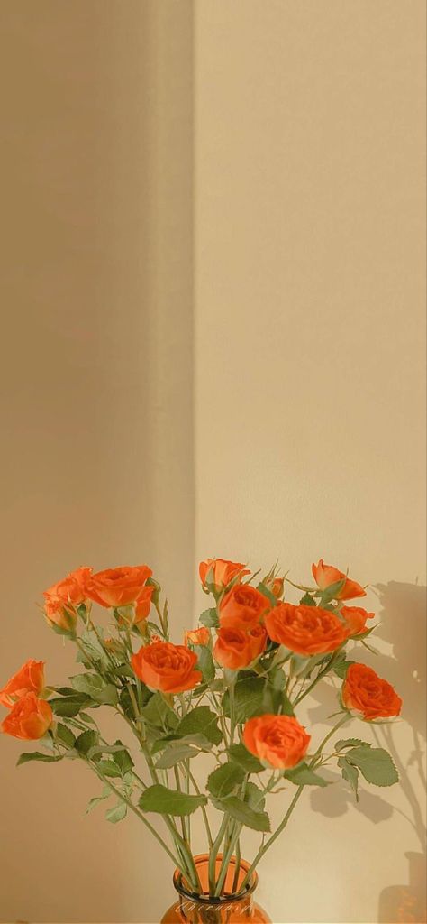 Aesthetic Flower Wallpaper, Wallpaper Estetika, Fleur Orange, Flowery Wallpaper, Aesthetic Flower, Wallpaper Pastel, Nothing But Flowers, Plant Aesthetic, Orange Aesthetic