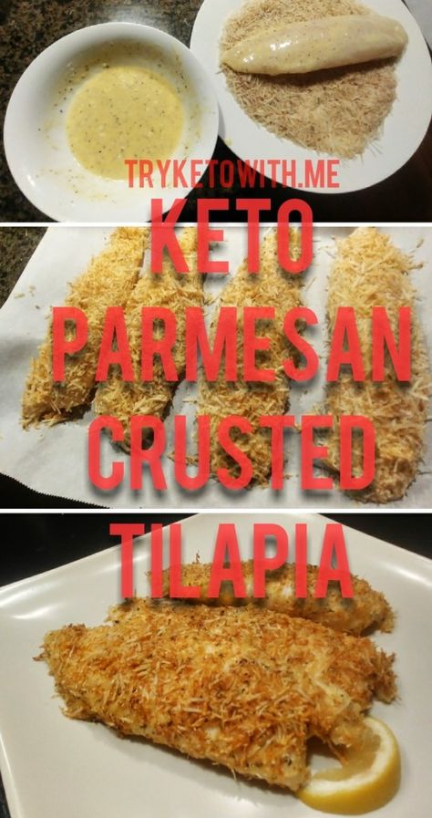 Keto Tilapia, Tilapia Parmesan, Healthy Tilapia, Parmesan Crusted Tilapia, Keto Fish, Tilapia Recipe, Crusted Tilapia, Keto Seafood, Tilapia Recipes