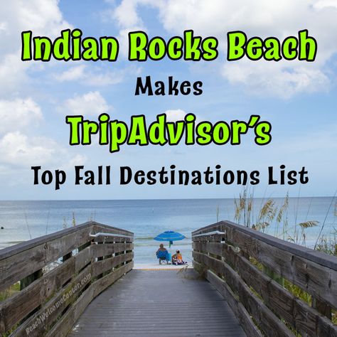 Indian Rocks Beach is in the top 5! 1. Little Torch Key, Florida 2. Indian Rocks Beach, Florida 3. Miami Springs, Florida 4. Hawley, Pennsylvania 5. Carefree, Arizona Indian Shores Florida, Carefree Arizona, Florida Cities, Indian Rocks Beach Florida, Fall Destinations, Florida Keys Beaches, Indian Shores, Holmes Beach, Indian Rocks Beach