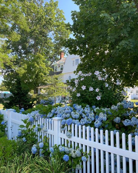 #newengland #newenglandarchitecture #hydrangea #garden #foralinspo #summerinnewengland #thesummeriturnedpretty #cousinsbeach #beachhouse Coastal Granddaughter Style, Coastal Granddaughter Outfits, Shimmering Water, East Coast Summer, Costal Granddaughter, Southern Coastal, Coastal Garden, England Summer, Hamptons Summer