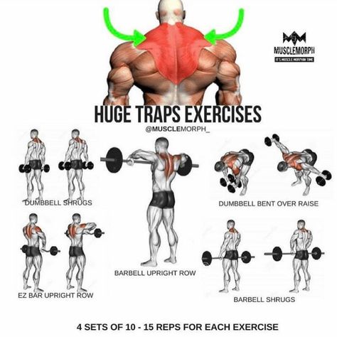 Best Traps Workout, Workout For Traps, Traps Workout Gym, Simpsons Workout, Shoulder And Traps Workout Gym, Trap Excersises, Upper Traps Workout, Trapezius Workout, Trap Workout