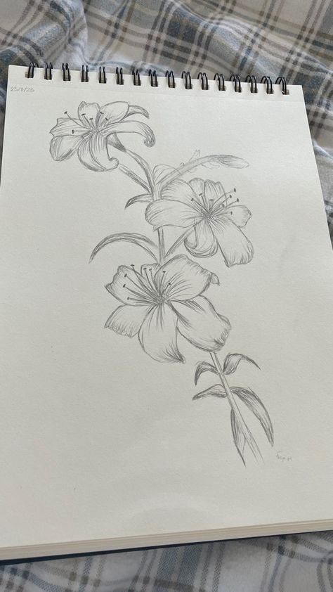 art, tattoo design, lillies, sketch, aesthetic art, skecth ideas, pencil art, drawing, sketching Skecth Arts Aesthetic, Skecth Arts Simple, Skecth Arts, Art Tattoo Design, Butterfly Drawings, Sketch Aesthetic, Things Quotes, Simple Phone Wallpapers, Drawing Sketching