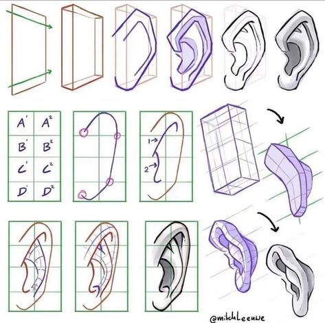 Draw Ear, Mitch Leeuwe, How To Draw Ears, Zbrush Character, Human Body Drawing, Hand Drawings, Learning To Draw, 얼굴 드로잉, Art Basics