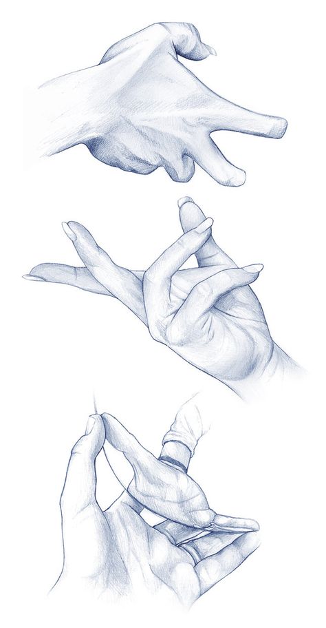 Hand Studies I by BikerScout on DeviantArt Hand Side View Drawing, Rm Drawing, Hand Side View, Paint Hands, Hand Studies, Interesting Poses, Hand References, Images Pop Art, Side View Drawing