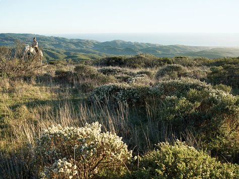 Savor Tomales Bay Tomales Bay, Sonoma Coast, Reno Tahoe, Beach Towns, Point Reyes, North Bay, Beach Town, San Francisco Bay Area, Summer Travel