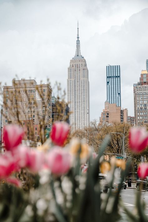 40 photos of NYC during Quarantine Showcasing what New York City looks like by neighborhood through this photography diary. New York Aesthetic. Empire State Building With Tulips Spring Spring City Wallpaper, City Spring Aesthetic, Nova York Aesthetic, Concrete City, New York City Spring, Photography Diary, Spring Nyc, Spring New York, Tulips Spring