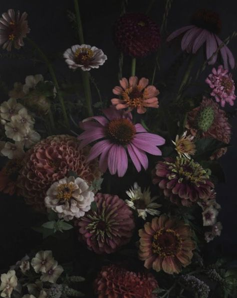 Botanicals Aesthetic, Dark Floral Aesthetic, Photography With Flowers, Flowers Dark Background, Goddess Persephone, Vanitas Paintings, Flowers On Dark Background, Moody Flowers, Idea Paint