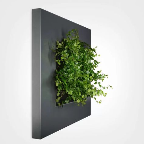 Plant Wall Art Decor, Modern Minimal Decor, Living Wall Diy, Wall Gardens, Metal Wall Planters, Planters Indoor, Indoor Plant Wall, Plant Installation, Wall Planters Indoor