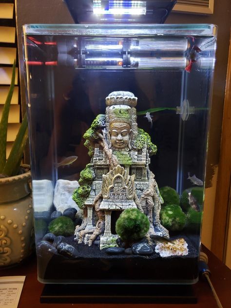 AmazonSmile : Blue Ribbon EE-5657 Cambodian Temple Ruins Exotic Environments Aquarium Ornament, Brown : Aquarium Decor Ornaments : Pet Supplies Cambodian Temple, Tank Terrarium, Fish Tank Terrarium, Tropical Freshwater Fish, Temple Ruins, Aquarium Ornaments, Diy Art Projects, Fish Tanks, Aquarium Decor