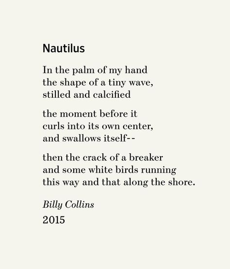 Billy Collins, White Birds, White Bird, Nautilus, Poetry, Birds, In This Moment, Running, Quotes